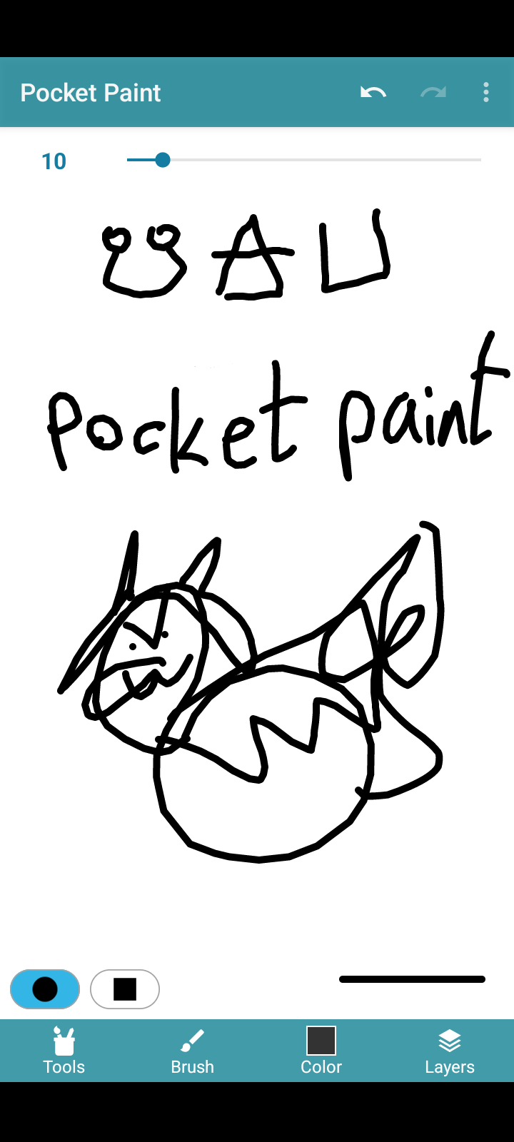 pocket paint